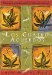 Los Cuatro Acuerdos / The Four Agreements: Una Guia Practica Para La Libertad Personal Un Libro De La Sabiduria Tolteca / A Practical Guide to Personal Freedom
