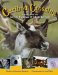  Caribou Crossing: Animals of the Arctic National Wildlife Refuge