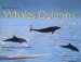 The World of Whales, Dolphins & Porpoises