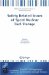  Safety Related Issues of Spent Nuclear Fuel Storage