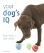  Your Dog's IQ: How Clever Is Your Canine?