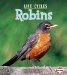  Robins