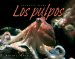 Los pulpos/ Octopuses