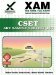  Cset Art Sample Subtest 140