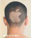 The Cult of MAC