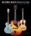  With Strings Attached: The Art and Beauty of Vintage Guitars