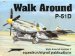  P 51d Walk Around