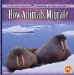 How Animals Migrate