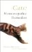  Cats: Homoeopathic Remedies