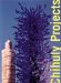  Chihuly Projects