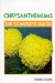  Chrysanthemums: The Complete Guide