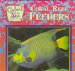  Coral Reef Feeders