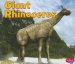  Giant Rhinoceros