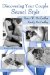  Discovering Your Couple Sexual Style: Sharing Desire, Pleasure, and Satisfaction