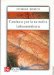  Caminata Por La Narrativa Latinoamericana