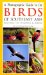 A Photographic Guide to the Birds of Southeast Asia: Including the Philippines & Borneo
