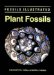  Plant Fossils: The History of Land Vegetation
