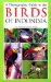  Birds of Indonesia
