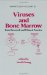  Viruses and Bone Marrow: Basic Research and Clinical Practice