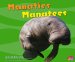  Manaties/ Manatees