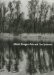  Albert Renger-Patzsch: Late Work