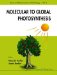  Molecular to Global Photosynthesis
