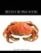  American Regional Cooking for the Professional Chef
