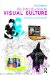 An Introduction to Visual Culture