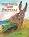  When Turtle Grew Feathers: A Folktale from the Choctaw Nation