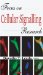  Focus on Cellular Signalling Research