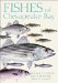  Fishes of Chesapeake Bay