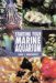  Starting Your Marine Aquarium