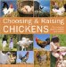  Choosing & Raising Chickens: The Complete Guide to Breeds and Welfare