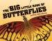 The Big Little Book of Butterflies