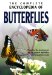 The Complete Encyclopedia Of Butterflies: Describes the Development And Life Cycle Of Butterflies From Around THe World