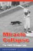  Miracle Collapse: The 1969 Chicago Cubs