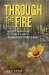  Through The Fire: Spiritual Resoration For Adult Victims Of Childhood Sexual Abuse