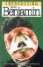  Introducing Walter Benjamin