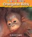  Orangutan Baby