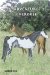 The Adventures Of Cherokee