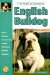  Guide to Owning an English Bulldog