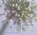  Jane Packer's Flowers