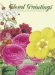  Floral Paintings: Of Popular Garden Flowers