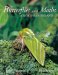 The Butterflies and Moths of Northern Ireland