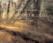  Chased by the Light: A 90-Day Journey