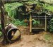 You're Not from Around Here: Photographs of East Tennessee