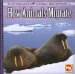  How Animals Migrate