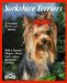  Yorkshire Terriers: Everything About Purchase, Care, Nutrition, Breeding, Behavior, and Training