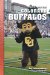  Jay Leeuwenburg's Tales from Colorado Football