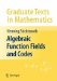  Algebraic Function Fields and Codes